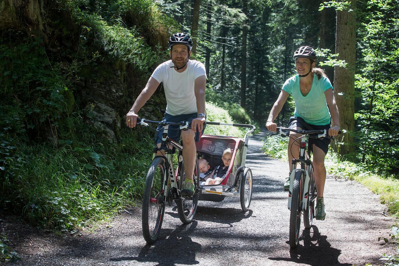 Soldanella By Hotel Adula Flims Eksteriør billede